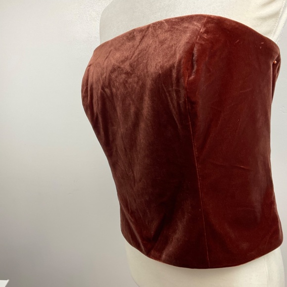 NWT Revelry Velvet Tube Top Terracotta Color Sleeveless Bustier size L - Picture 3 of 15